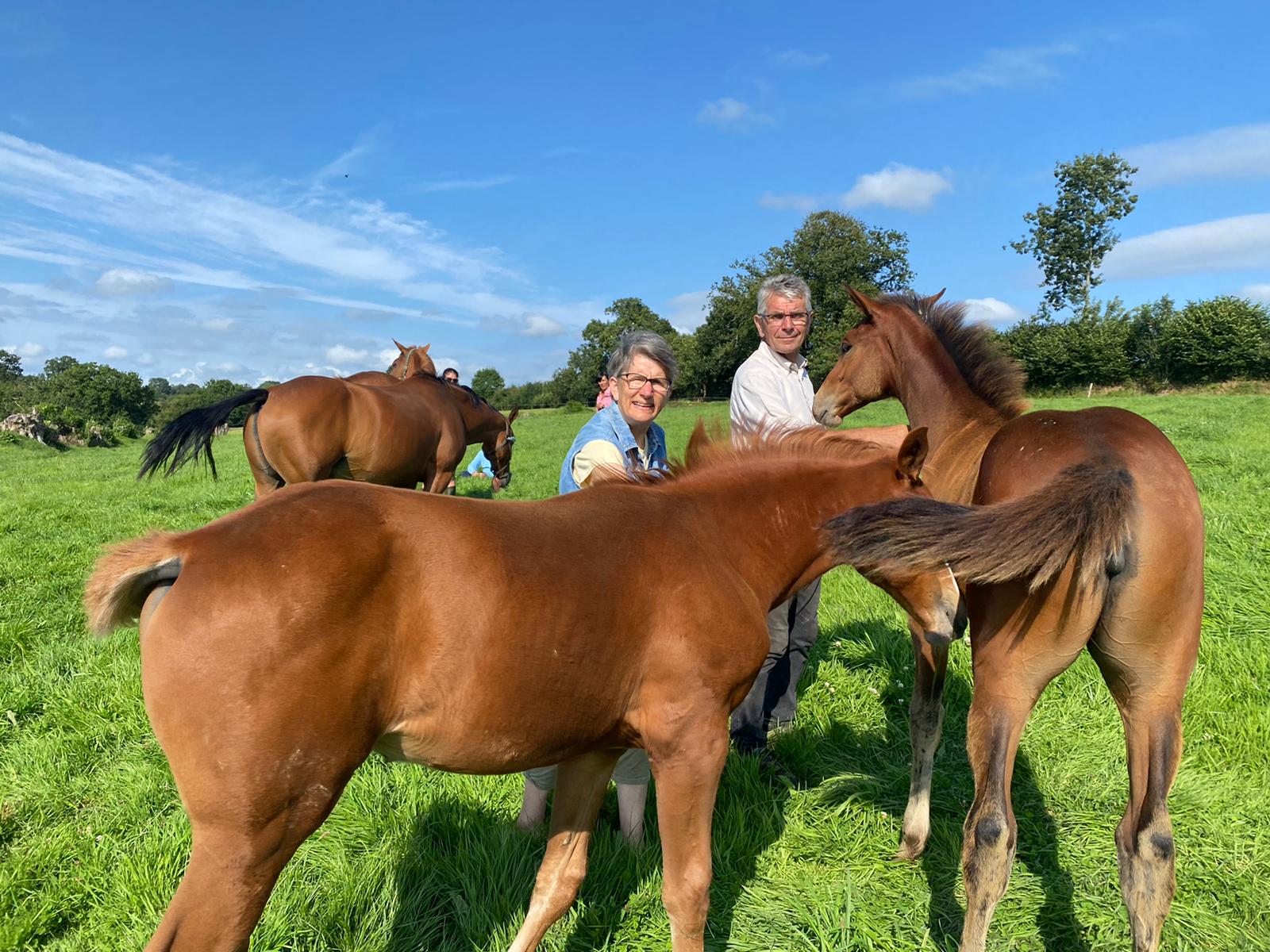 Lire la suite à propos de l’article Détection annuelle des jeunes chevaux pour le futur