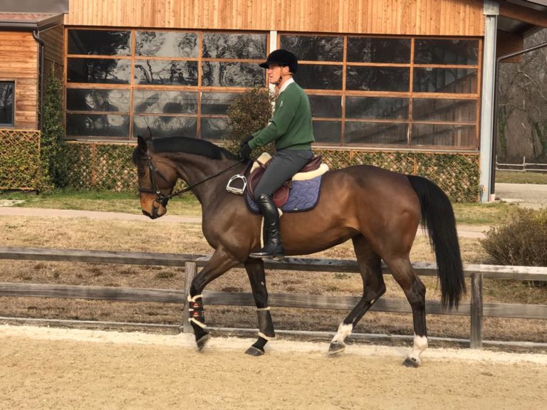 "Guider" son cheval avec l'assiette… - Eric Louradour