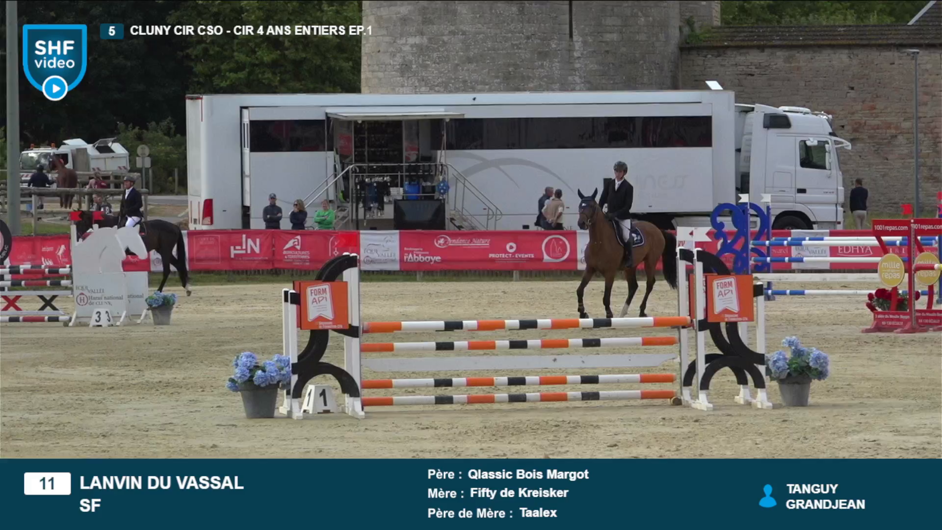 Lire la suite à propos de l’article Hommage aux cavaliers de jeunes chevaux : les bâtisseurs de l’ombre