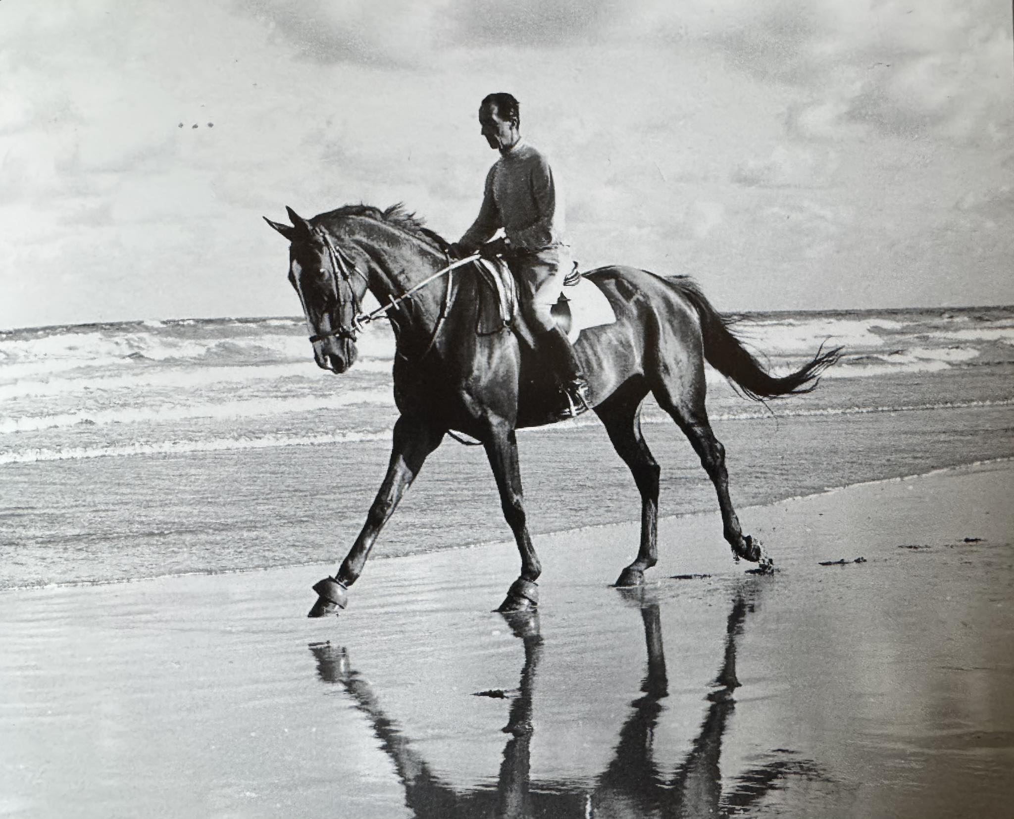 Lire la suite à propos de l’article L’équitation américaine : rigueur, héritage et respect du cheval