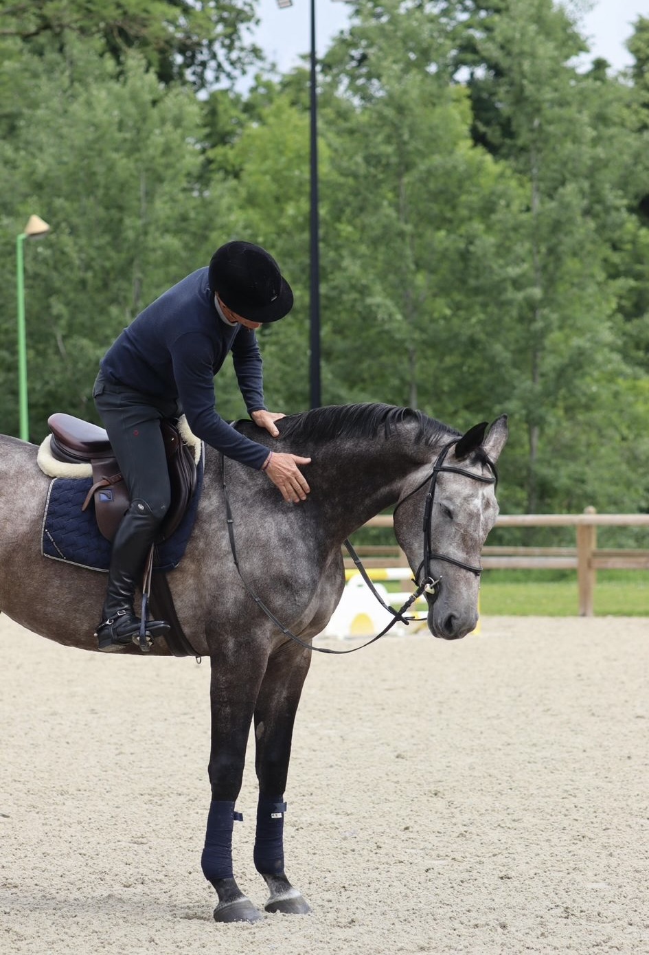 Lire la suite à propos de l’article Exigence ou colère : ce que le cheval nous apprend sur nous-mêmes