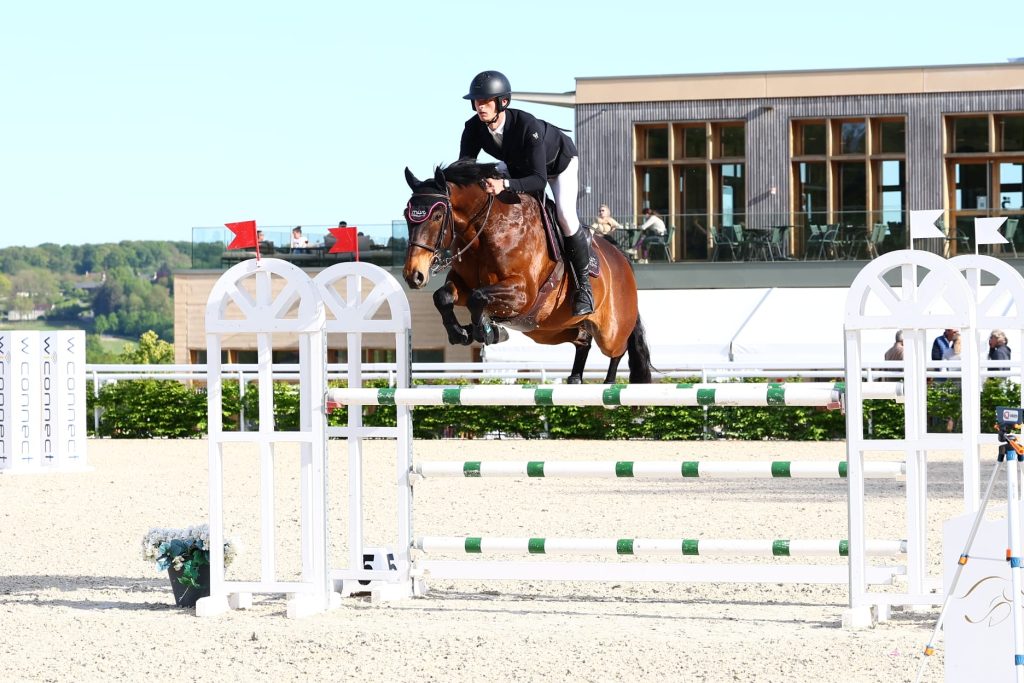 Cavalier et cheval bai franchissant un obstacle lors d’un concours de saut d’obstacles
