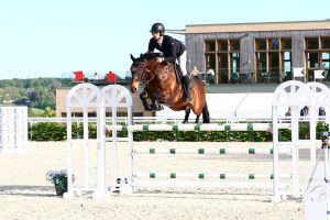 Cavalier et cheval bai franchissant un obstacle lors d’un concours de saut d’obstacles