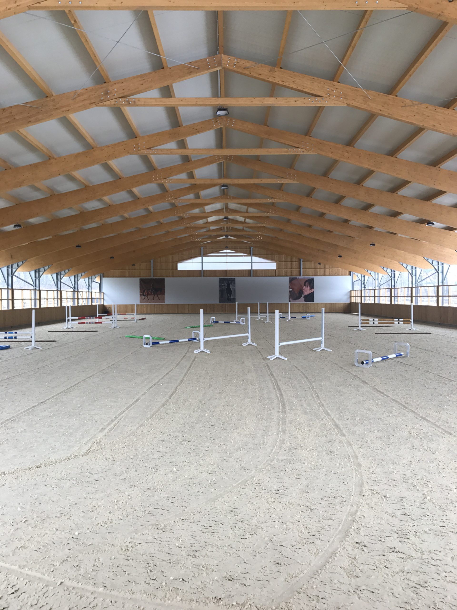 Lire la suite à propos de l’article Le cheval face à la chaleur : il est temps de repenser notre sport