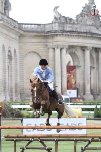 Cavalier et cheval en parcours de saut d'obstacles, illustrant la confiance et la relation entre l'homme et le cheval.