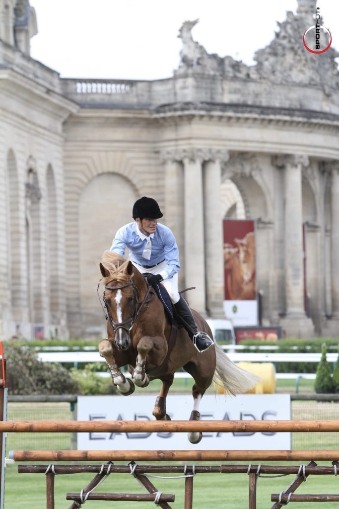 Cavalier et cheval en parcours de saut d'obstacles, illustrant la confiance et la relation entre l'homme et le cheval.